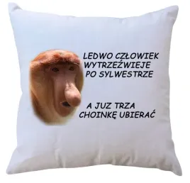 poduszka-dla-janusza-producent