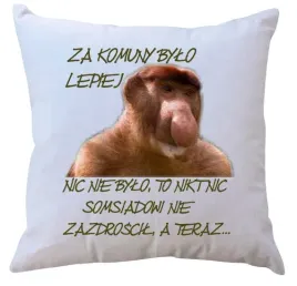 poduszka-dla-janusza-producent