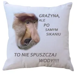 poduszka-z-wkladem-dla-janusza-producent