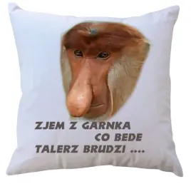 poduszka-z-wkladem-dla-janusza-producent