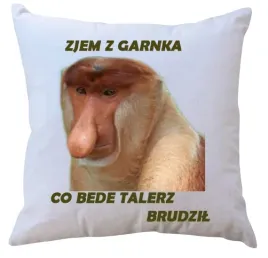 poduszka-dla-janusza-producent