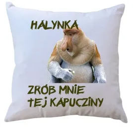poduszka-dla-janusza-producent