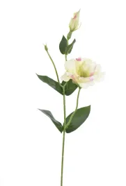 sztuczne-kwiaty-eustoma-zielono-rozowa-galazka-do-wazonu-kompozycji