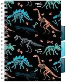 kolozeszyt-a5-100k-pp-kratka-coolpack-fossil-26998