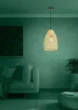lampa-wiszaca-sambucona-390237-eglo-rodzaj-lampy-sufitowe-wiszace