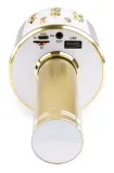 mikrofon-karaoke-echo-bluetooth-usb-aux-in-microsd-model-km01