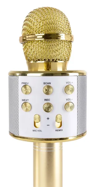 mikrofon-karaoke-echo-bluetooth-usb-aux-in-microsd-kod-producenta-130-139