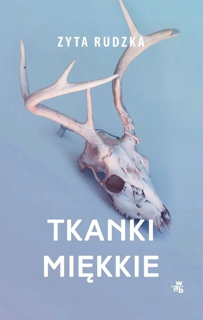 Grafika w opisie produktu