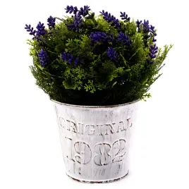kwiatek-w-doniczce-ozdobna-roslina-18cm