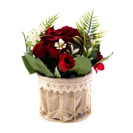 kwiat-w-doniczce-kompozycja-roslin-rozne-kolory