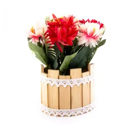 kwiatek-w-doniczce-roslina-ozdobna-rozne-kolory