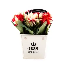 kwiat-w-doniczce-roslina-ozdobna-rozne-kolory