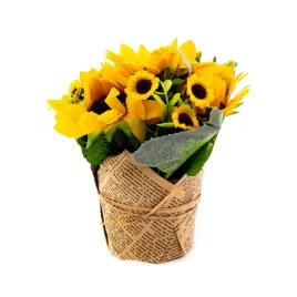 slonecznik-w-doniczce-roslina-ozdobna-18cm