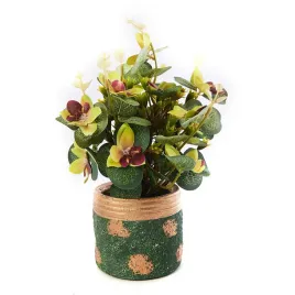 roslina-lisciasta-w-doniczce-kwiatek-rozne-kolory