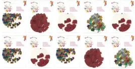 kula-balon-przezroczysty-z-konfetti-40cm-10szt