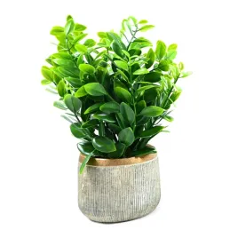 zielony-kwiat-w-doniczce-na-parapet-rozne-wzory