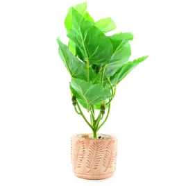 kwiatek-lisciasty-w-doniczce-dekoracja-rozne-wzory