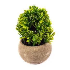 ozdobna-roslina-w-doniczce-mini-krzaczek-16cm