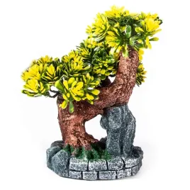 drzewo-bonsai-w-doniczce-roslina-rozne-kolory