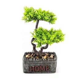 bonsai-drzewko-w-doniczce-ozdobna-roslina-25cm