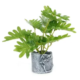 ozdobna-roslina-w-doniczce-22cm-rozne-kolory