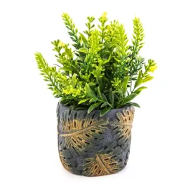 zielony-wrzos-kwiat-w-doniczce-18cm-rozne-wzory