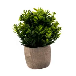 kwiatek-zielona-roslina-w-doniczce-rozne-wzory