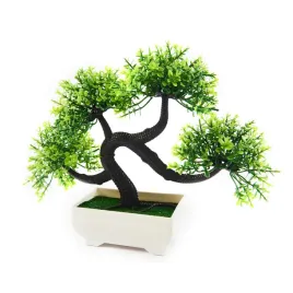 drzewko-bonsai-roslina-ozdobna-20cm-rozne-kolory