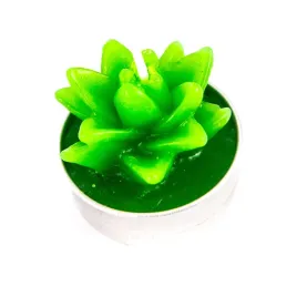 swieczka-ozdobna-roslina-podgrzewacz-tealight