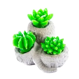 swieczka-ozdobna-kaktus-3szt-kamienna-doniczka