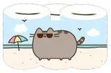 skarbonka-pusheen-producent