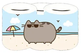 skarbonka-pusheen-producent