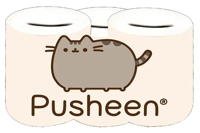 skarbonka-pusheen-producent
