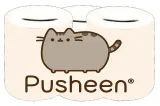 skarbonka-pusheen-producent