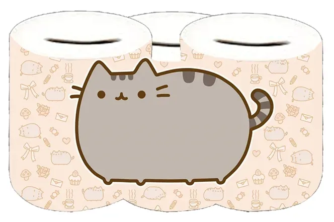 skarbonka-pusheen-producent