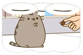 skarbonka-pusheen-producent