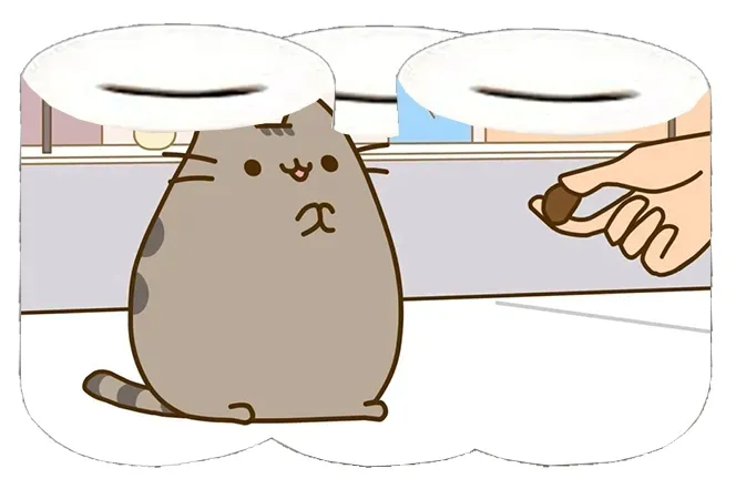 skarbonka-pusheen-producent