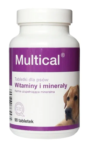 dolvit-multical-bigdog-90tab-dolfos-postac-tabletki