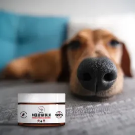 pet-nose-and-paw-balm-balsam-do-nosa-i-lapek-75ml-100percent-naturalny-sklad