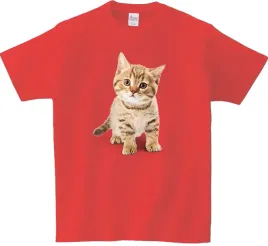 koszulka-t-shirt-kot-producent