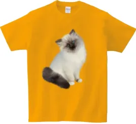 koszulka-t-shirt-kot-producent