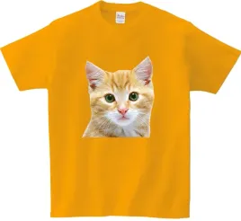 koszulka-t-shirt-kot-producent