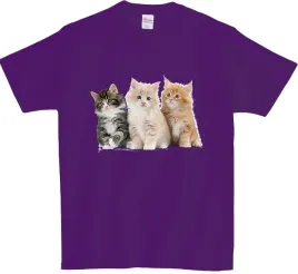 koszulka-t-shirt-koty-producent
