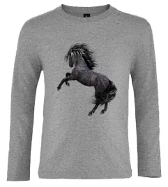 bluzka-t-shirt-z-dlugim-rekawem-konie-producent