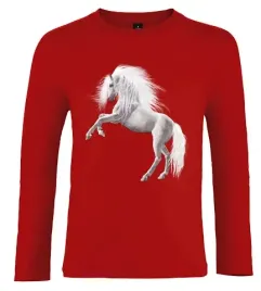 bluzka-t-shirt-z-dlugim-rekawem-konie-producent