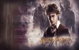 bidon-harry-potter-producent-marka-inna