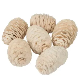 dekoracja-szyszki-sabulosum-bielone-kremowy-czakos-6-szt