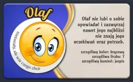 magnes-z-imieniem-olaf-producent
