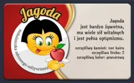 magnes-z-imieniem-jagoda-producent