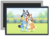 magnes-bluey-producent